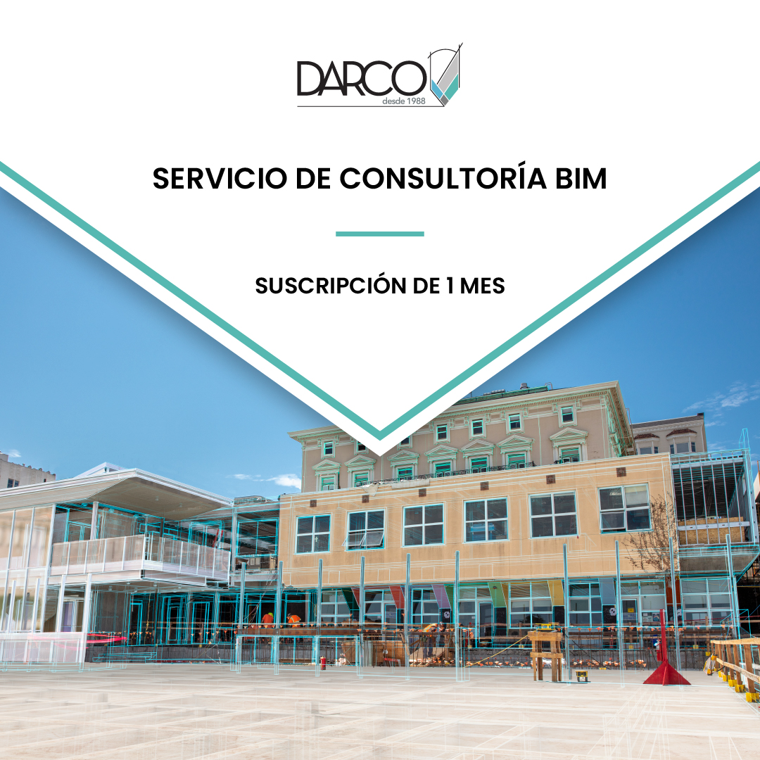 Consultoría BIM - RIMA 1 MES